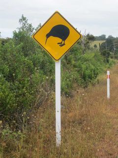 Kiwi country